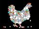 Restriction on Antibiotic usage can create unprecedented opportunities for Animal Feed Probiotics Industry