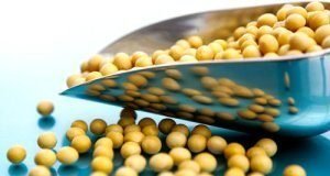 China to increase Soybean planting area