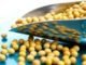 China to increase Soybean planting area