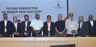 Expert Advice on feed commodity outlook