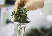 Factors to Consider When Evaluating and Using Alternative Feed Ingredients