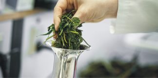 Factors to Consider When Evaluating and Using Alternative Feed Ingredients