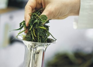 Factors to Consider When Evaluating and Using Alternative Feed Ingredients