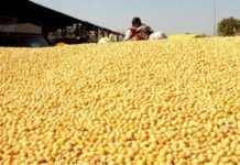 Oilmeal exports remain flat in April-February period