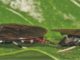 High performance bugs breeding for animal feed