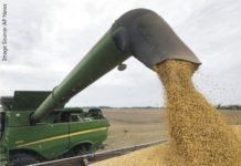 US soybeans exports to EU on a 30-year high