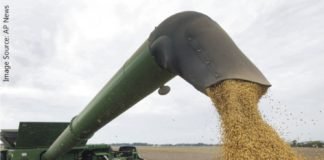 US soybeans exports to EU on a 30-year high