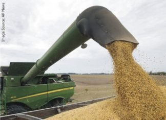 US soybeans exports to EU on a 30-year high