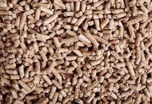 Strategies to improve feed efficiency