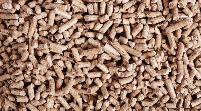 Strategies to improve feed efficiency
