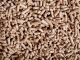 Strategies to improve feed efficiency
