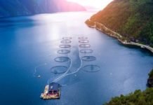 FEED-X – Removing the barriers to sustainable feed by 2030