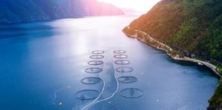 FEED-X – Removing the barriers to sustainable feed by 2030