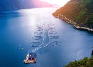 FEED-X – Removing the barriers to sustainable feed by 2030