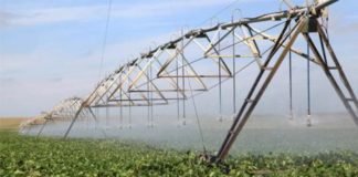 Key Themes in Asia Agribusiness