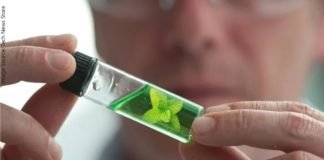 Changing Dynamics of Phytogenics in India