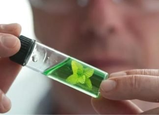 Changing Dynamics of Phytogenics in India