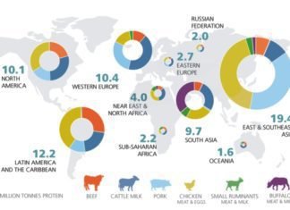 Vietnam’s animal feed import slightly increases in Q1