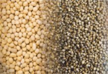 India featured in severe risk zone – Cargill Mycotoxin Survey