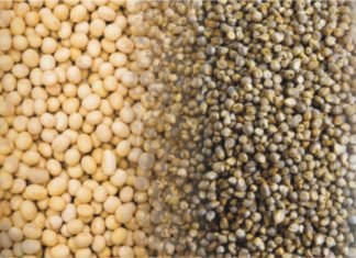 India featured in severe risk zone – Cargill Mycotoxin Survey