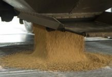 China seeks to push July’s U.S. soybean cargoes over to August