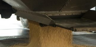 China seeks to push July’s U.S. soybean cargoes over to August