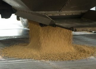 China seeks to push July’s U.S. soybean cargoes over to August