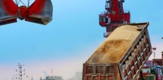 China’s soybean production push weakens as subsidies dry up