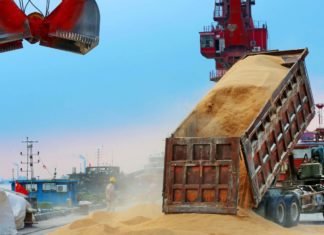 China’s soybean production push weakens as subsidies dry up