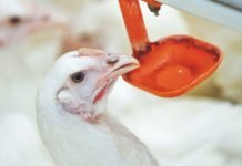 Improved performance through improved water quality