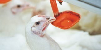 Improved performance through improved water quality