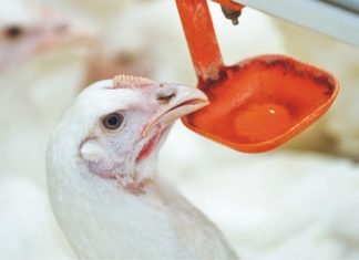 Improved performance through improved water quality