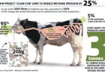 Approval applied for feed additive that minimizes methane from cattle