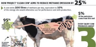 Approval applied for feed additive that minimizes methane from cattle