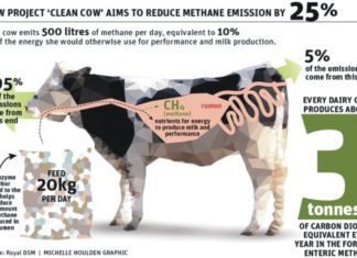 Approval applied for feed additive that minimizes methane from cattle