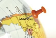 Argentina farmer soybean, corn sales for export more than double as peso falls