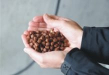 Nutrition Technologies plans to establish the largest insect protein farm in Sotheast Asia