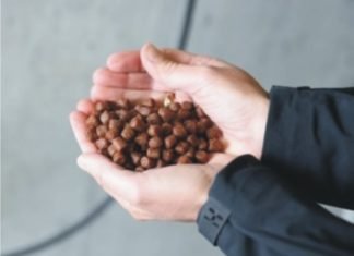 Nutrition Technologies plans to establish the largest insect protein farm in Sotheast Asia