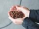 Nutrition Technologies plans to establish the largest insect protein farm in Sotheast Asia