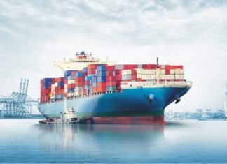 US corn inspected for export falls 51% on year, 5% on week: USDA