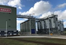 Strategic projects 2019. Ridley in Austrialia, Skeena in Canada, Bakhresa in Tanzania and EMC2 in France