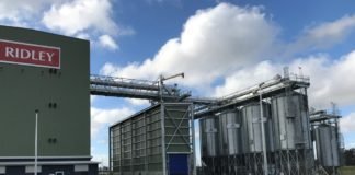 Strategic projects 2019. Ridley in Austrialia, Skeena in Canada, Bakhresa in Tanzania and EMC2 in France