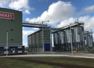 Strategic projects 2019. Ridley in Austrialia, Skeena in Canada, Bakhresa in Tanzania and EMC2 in France