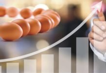 Parameters Influencing Egg Shell Quality