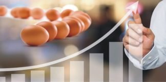 Parameters Influencing Egg Shell Quality