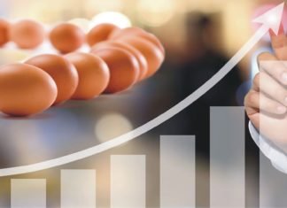 Parameters Influencing Egg Shell Quality
