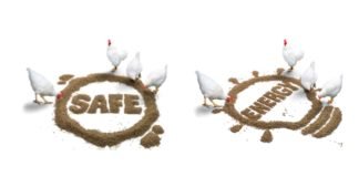 Improve your feed conditioning process and optimize the nutritional value of your feed with Van AarsenLong Term Conditioners