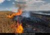 An eco-friendly alternative to stubble burning