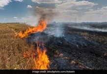 An eco-friendly alternative to stubble burning