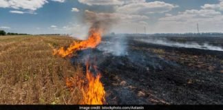 An eco-friendly alternative to stubble burning